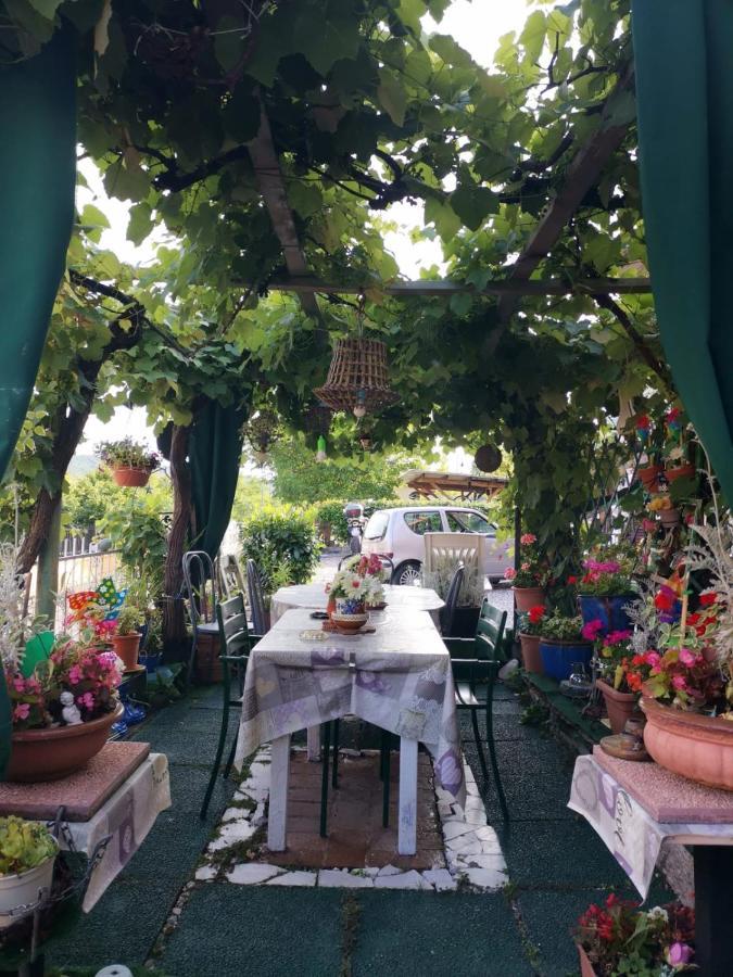 Bed & Breakfast Art La Casa Del Pittore *