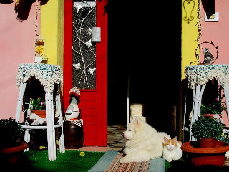 Art La Casa Del Pittore *